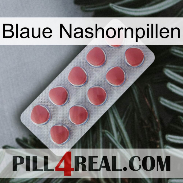 Blue Rhino Pills 18